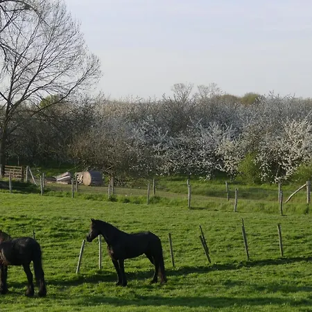 Meschermolen 11