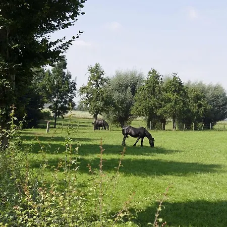 Meschermolen 11