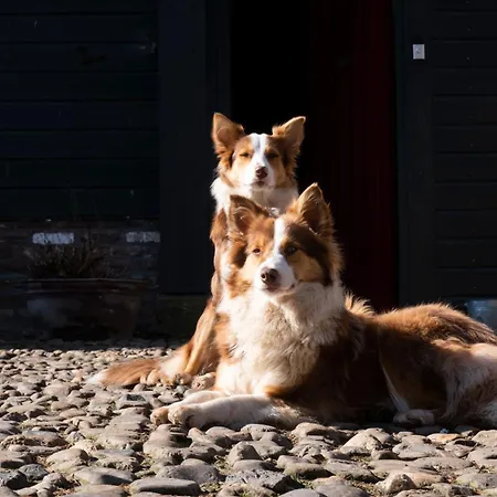 公寓 Meschermolen 11 *