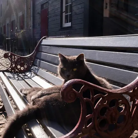 Meschermolen 11 公寓 爱斯登