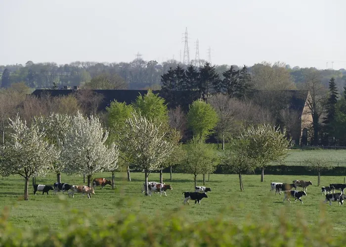 Апартаменты Meschermolen 11 Эйсден