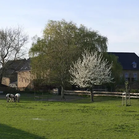 Apartman Meschermolen 11 *