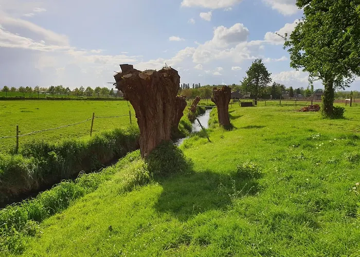 Lejlighed Meschermolen 11