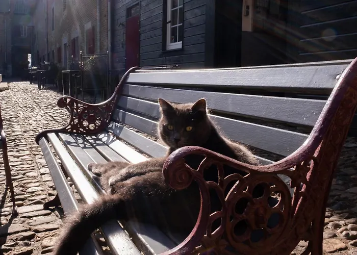 Meschermolen 11 Lejlighed Eijsden